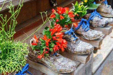 Weird or Wonderful? Growing Food in Unusual Places Image